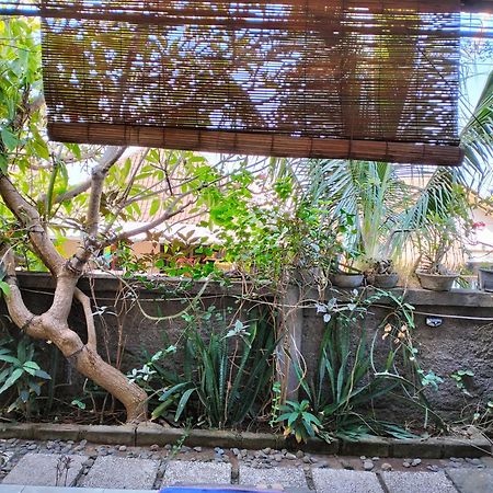 Dharma Yoga Homestay dan hostel Amed Buitenkant foto